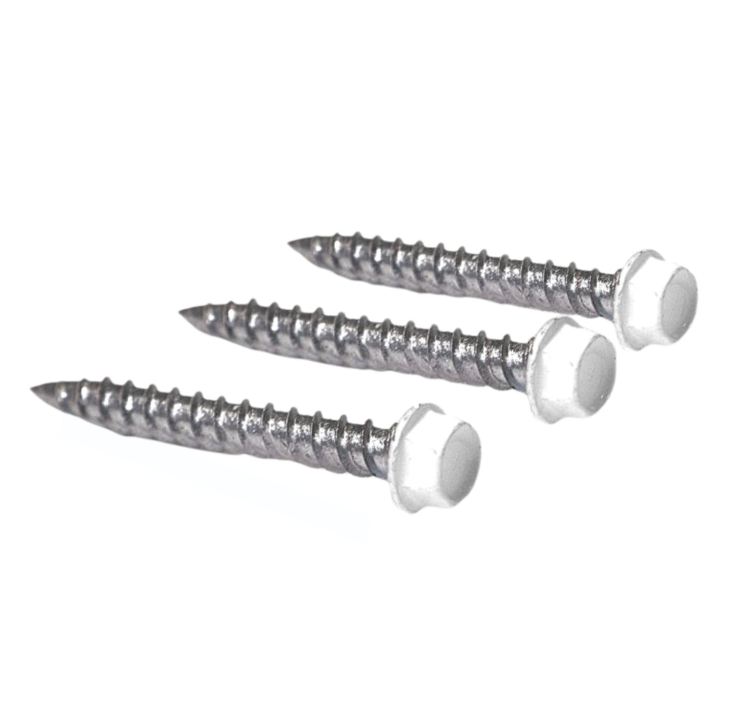 1-1/2" #10 REZIST SCREWS WHITE